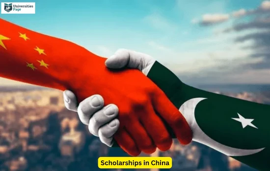 scholarships in China universities page